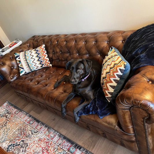 Kingsford - Cognac Brown Top Grain Buffalo Leather Chesterfield sofa - Kukuu Sofa